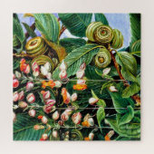 Puzzle Marianne North : Un chêne Darjeeling, (Horizontal)