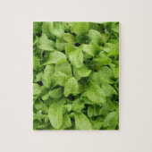 Puzzle Marigold Seedlings (Vertical)