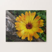 Puzzle marigold sur le journal (Horizontal)
