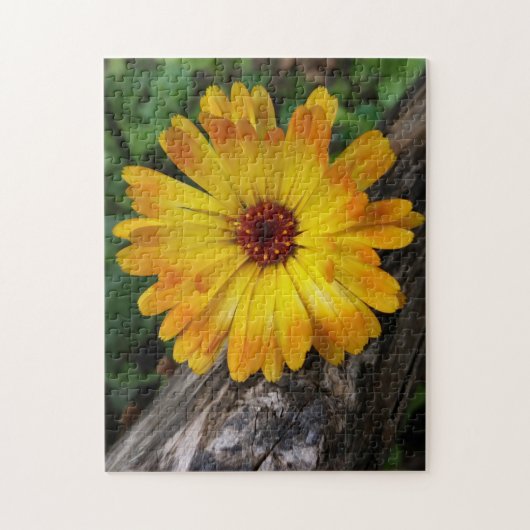Puzzle marigold sur le journal (Vertical)