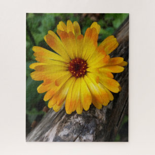 Puzzle marigold sur le journal