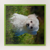 Puzzle Marionnette maltaise dans l'herbe (Horizontal)
