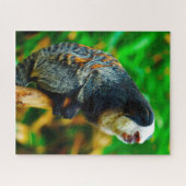 Puzzle Marmoset à tête blanche. (Horizontal)