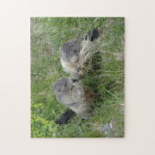 Puzzle Marmot (Vertical)