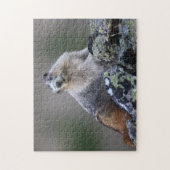 Puzzle Marmot (Vertical)