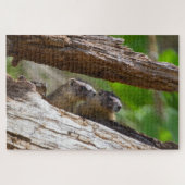 Puzzle Marmot Brothers (Horizontal)