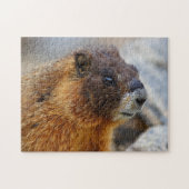 Puzzle marmotte (Horizontal)