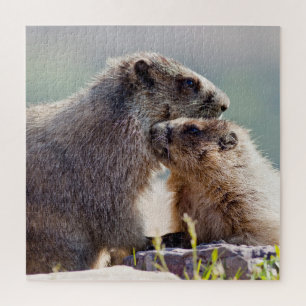 Puzzle Marmotte mère avec bébé