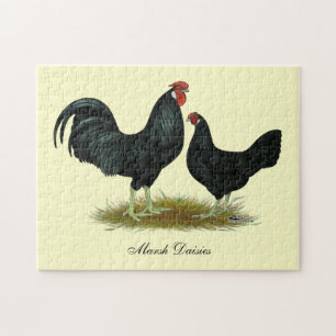 Puzzle Marsh Daisy Chickens