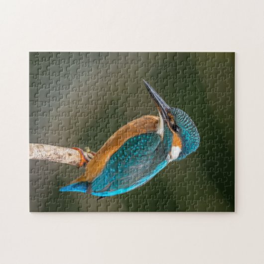 Puzzle Martin-pêcheur (Horizontal)
