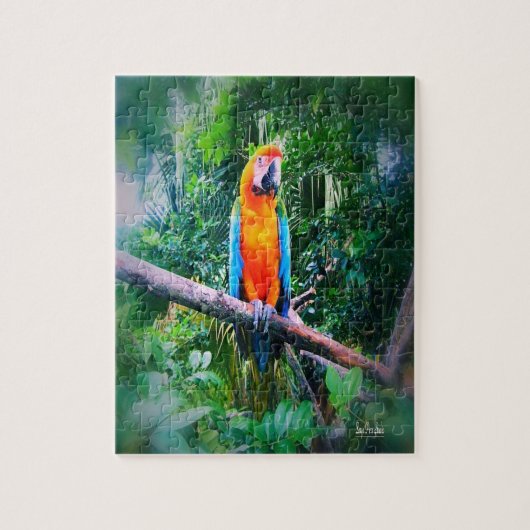 Puzzle Martinique Macaw (Vertical)