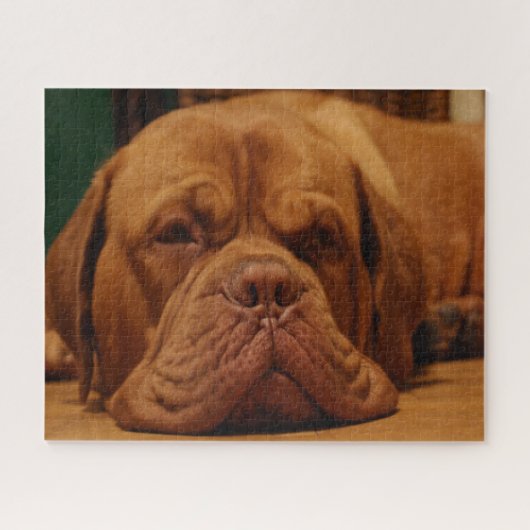 Puzzle Mastiff Chien se reproduit. (Horizontal)