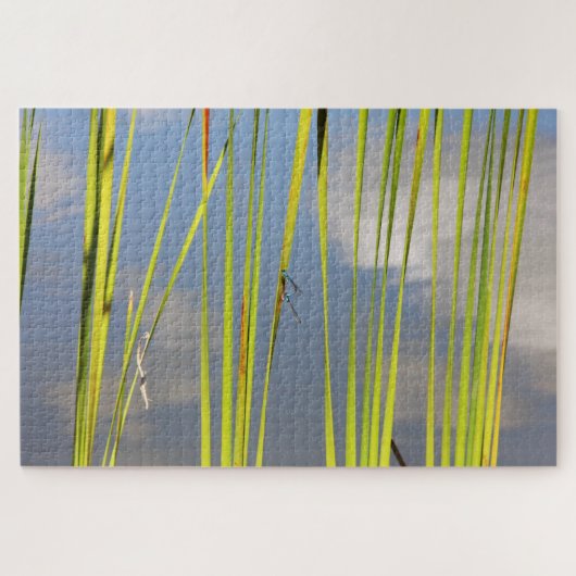 Puzzle Matage des insectes 3 (Horizontal)