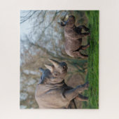 Puzzle Maternité chez les rhinocéros (Vertical)