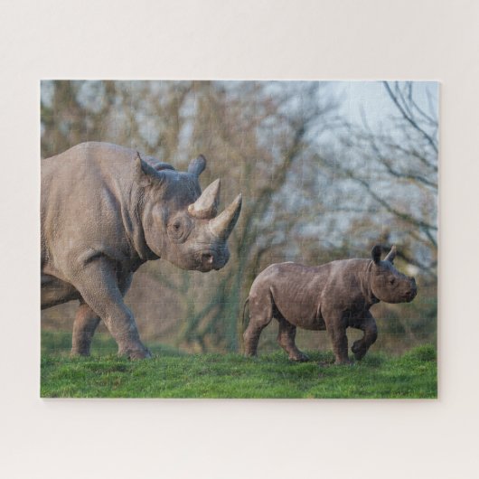 Puzzle Maternité chez les rhinocéros (Horizontal)
