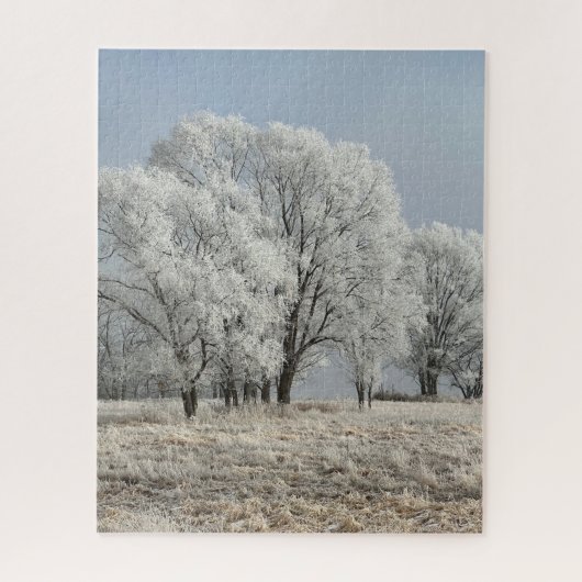 Puzzle Matin enneigé en Iowa (Vertical)
