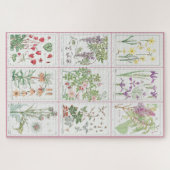 Puzzle Maurice Pillard Verneuil Illustrations botaniques  (Horizontal)