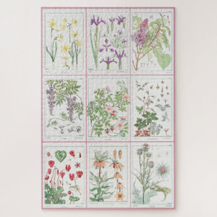 Puzzle Maurice Pillard Verneuil Illustrations botaniques