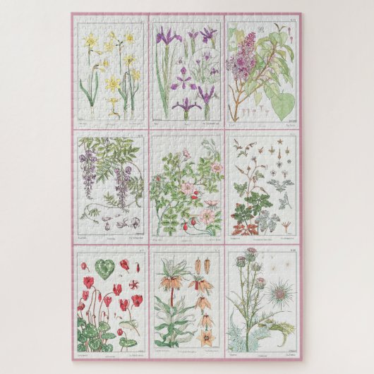 Puzzle Maurice Pillard Verneuil Illustrations botaniques  (Vertical)