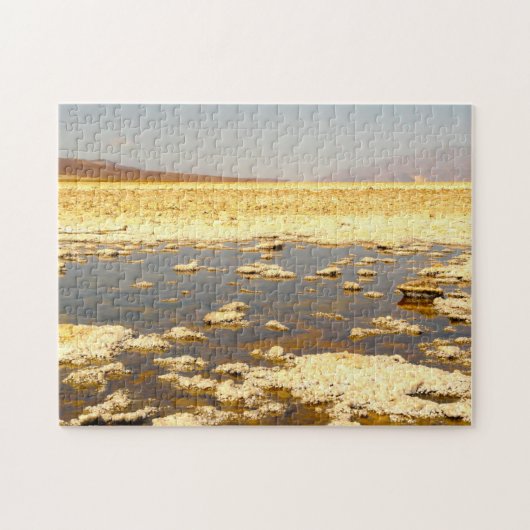 Puzzle Mauvais Salt Pan. Nevada. (Horizontal)
