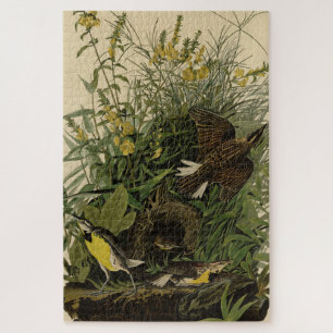Puzzle Meadow Lark from Audubon's Birds of America