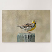 Puzzle Meadowlark (Horizontal)