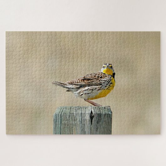 Puzzle Meadowlark (Horizontal)