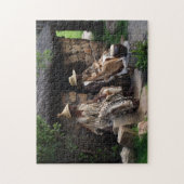Puzzle Médecin en chef Basotho. (Vertical)