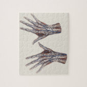 Puzzle Médecine vintage, Anatomie humaine Doigts (Vertical)