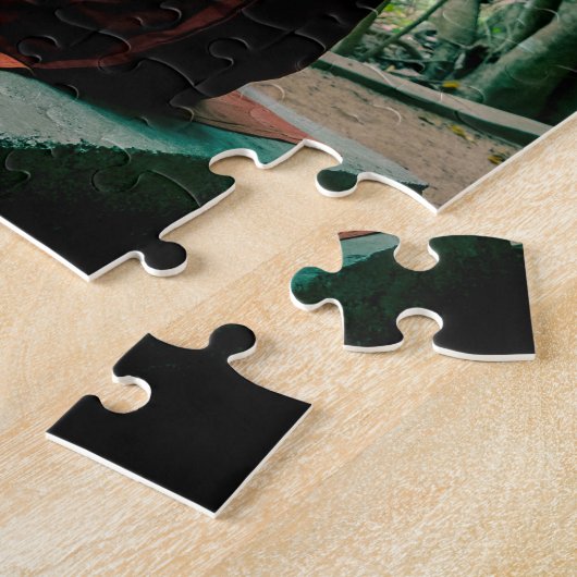 Puzzle Méditation bouddhiste Sri Lanka. (Côté)