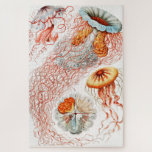 Puzzle Méduse, Discomedusae par Ernst Haeckel<br><div class="desc">Méduse, Discomedusae Scheibenquallen par Ernst Haeckel Jigsaw Puzzle.</div>