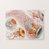 Puzzle Méduse, Discomedusae par Ernst Haeckel (Horizontal)