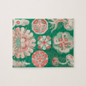 Puzzle Méduse, Discomedusae par Ernst Haeckel (Horizontal)