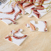 Puzzle Méduse (Scheibenquallen) par Ernst Haeckel (Côté)