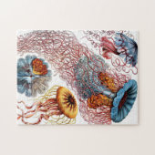 Puzzle Méduse (Scheibenquallen) par Ernst Haeckel (Horizontal)