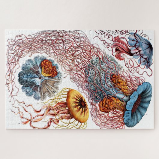 Puzzle Méduse (Scheibenquallen) par Ernst Haeckel (Horizontal)