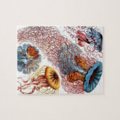 Puzzle Méduse (Scheibenquallen) par Ernst Haeckel (Horizontal)
