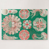 Puzzle Méduses, Discomedusae par Ernst Haeckel (Horizontal)