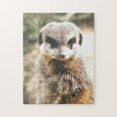 PUZZLE MEERKAT (Vertical)