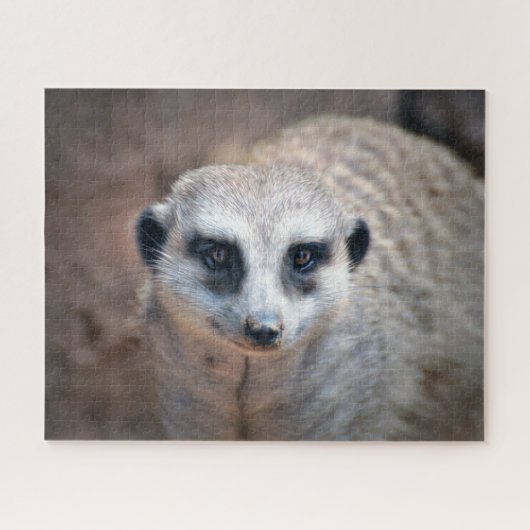 Puzzle Meerkat (Horizontal)