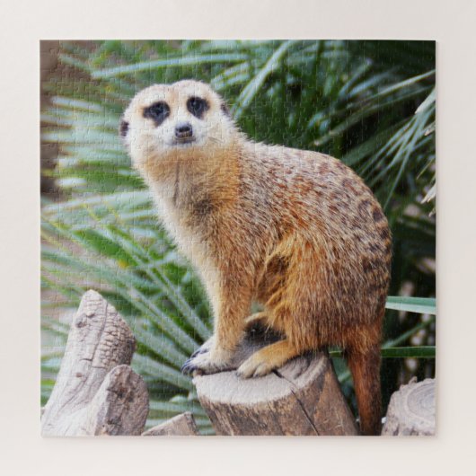 Puzzle Meerkat (Vertical)