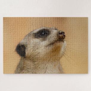 Puzzle Meerkat_001_by_JAMFoto