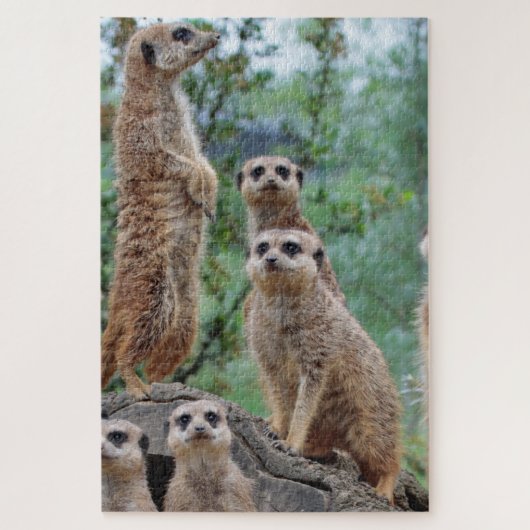 Puzzle Meerkat_003 (Vertical)