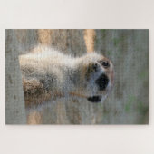 Puzzle Meerkat 004 (Horizontal)