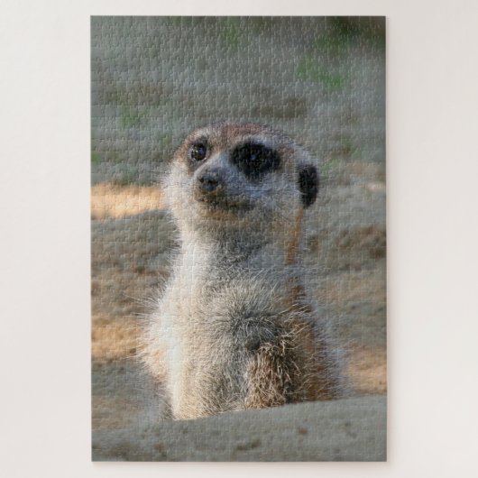 Puzzle Meerkat 004 (Vertical)