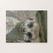 Puzzle Meerkat 005 (Horizontal)