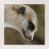 Puzzle Meerkat_006 (Horizontal)