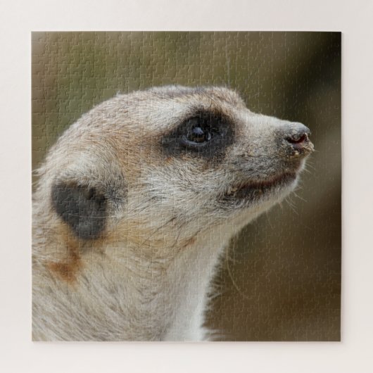 Puzzle Meerkat_006 (Vertical)