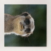 Puzzle Meerkat 068 (Horizontal)