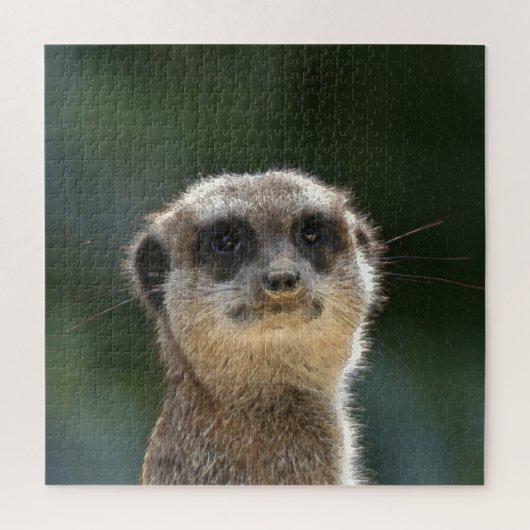 Puzzle Meerkat 068 (Vertical)